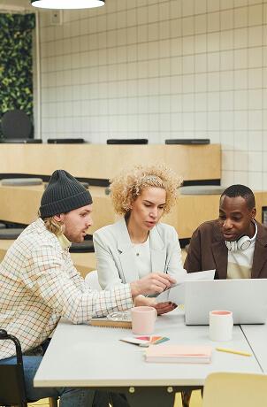 Theme & Plugin Development